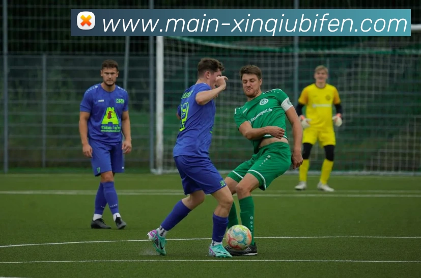 新球体育平台生态图